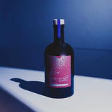 天成梅酒 fia 辣味梅酒500ml