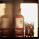 天成梅酒 WHOA 500ml