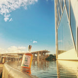 天成梅酒 CLASSIC 500ml