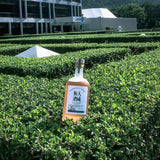 天成梅酒 CLASSIC 500ml