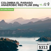 COLOMBIA EL PARAISO ANAEROBIC RED PLUM 200g 哥倫比亞天堂莊園 雙重厭氧發酵咖啡豆 紅布林 200g