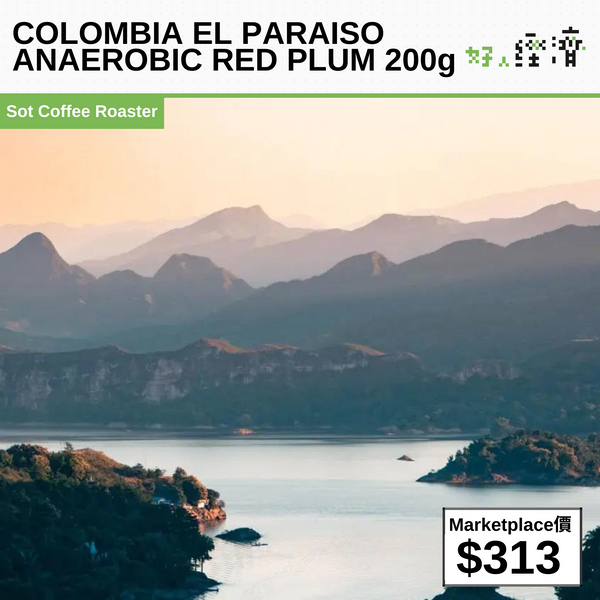 COLOMBIA EL PARAISO ANAEROBIC RED PLUM 200g 哥倫比亞天堂莊園 雙重厭氧發酵咖啡豆 紅布林 200g
