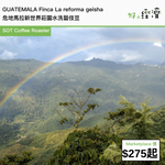 GUATEMALA Finca La reforma geisha 危地馬拉新世界莊園水洗藝伎豆