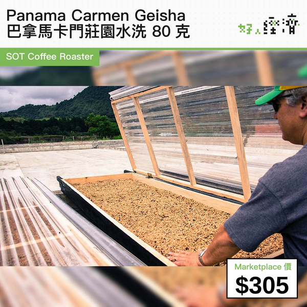 Panama Carmen Geisha 巴拿馬卡門莊園水洗 80克
