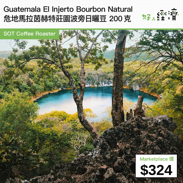 Guatemala El Injerto Bourbon Natural 危地馬拉茵赫特莊園波旁日曬豆 200克