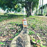 【直銷優惠】 天成梅酒 CLASSIC 500ml