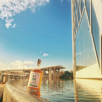 【直銷優惠】 天成梅酒 CLASSIC 500ml