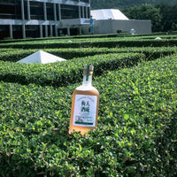 【直銷優惠】 天成梅酒 CLASSIC 500ml
