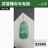 【直銷優惠】芙蓉種年年有餘